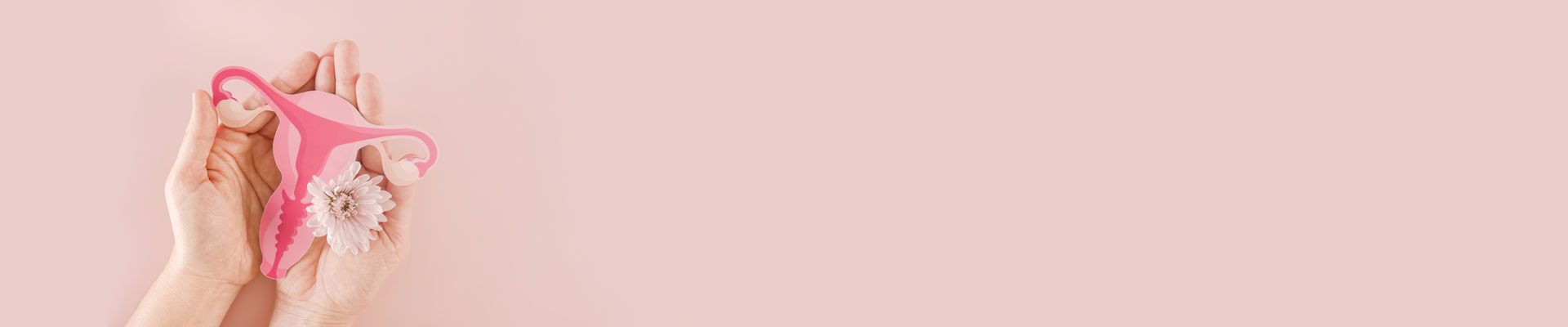 Depiction of a uterus being held in hands